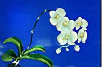 承德各县特产知多少？调查称63.4%市民未曾详悉