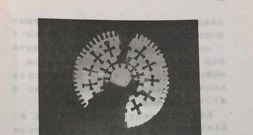 二里头遗址中的“中华第一龙”与神秘的“汽车”未解之谜